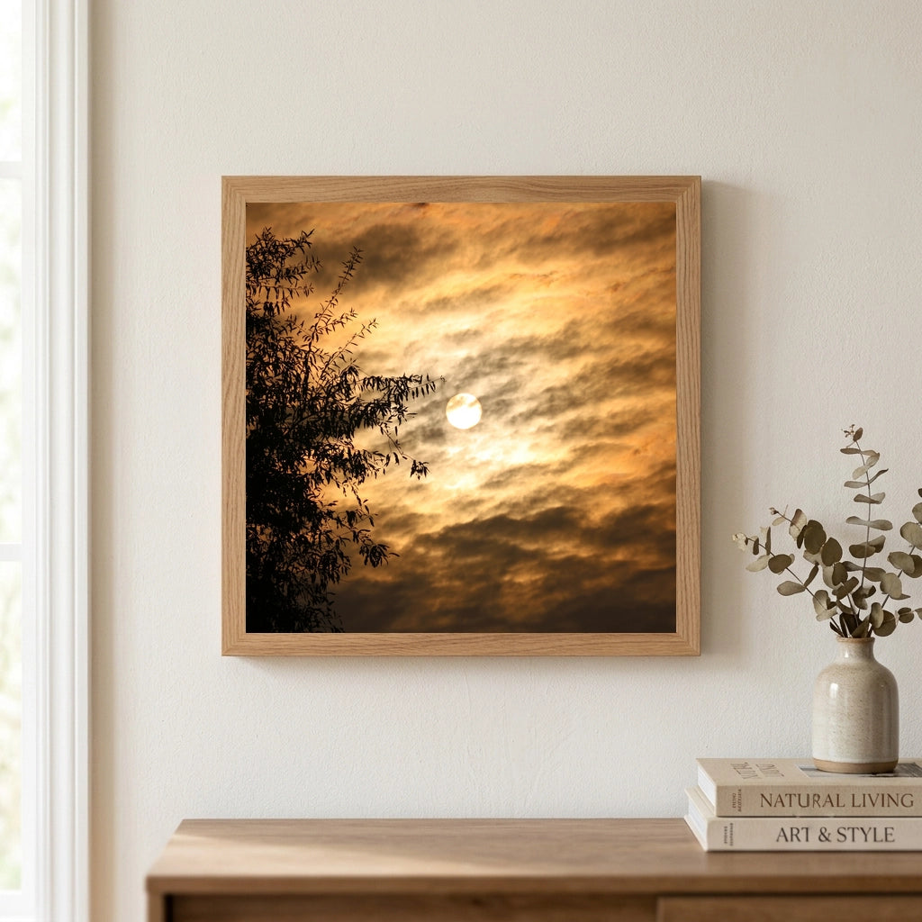 Golden Sky Through Tree Branches