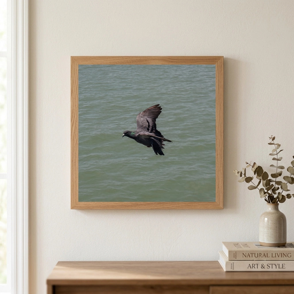 Pigeon in Flight Over Water