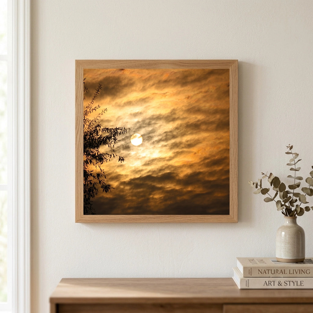 Sun Through Golden Clouds Bamboo Silhouette