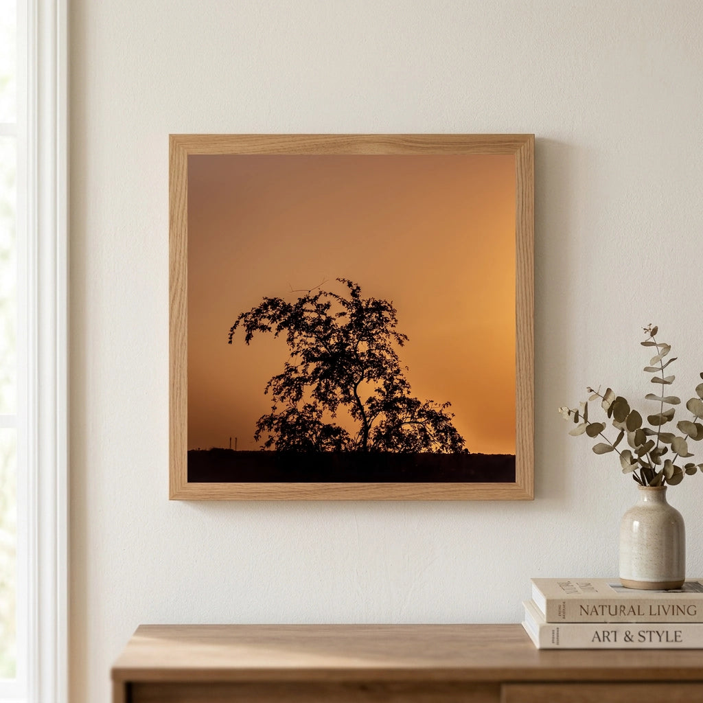 Tree Silhouette at Amber Sunset