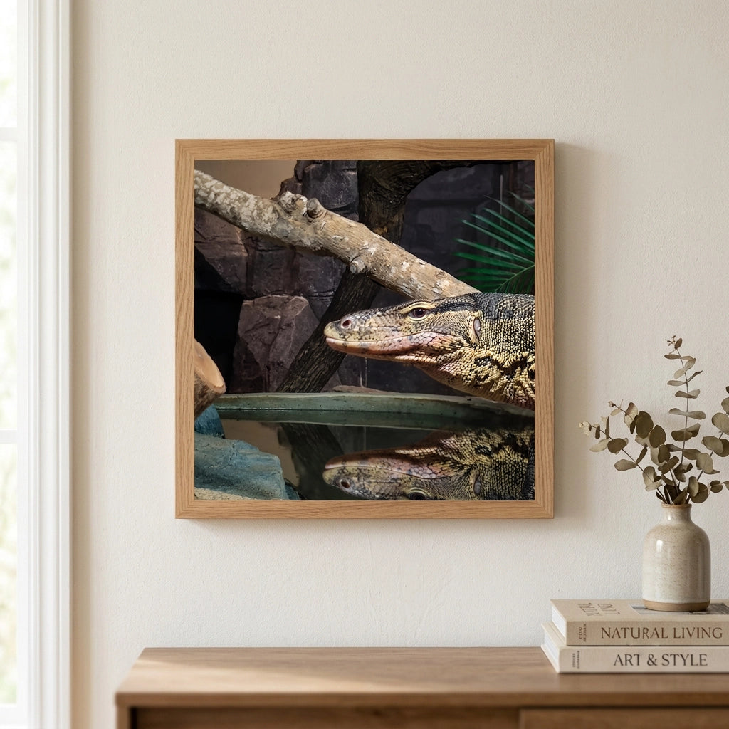 Monitor Lizard by Water