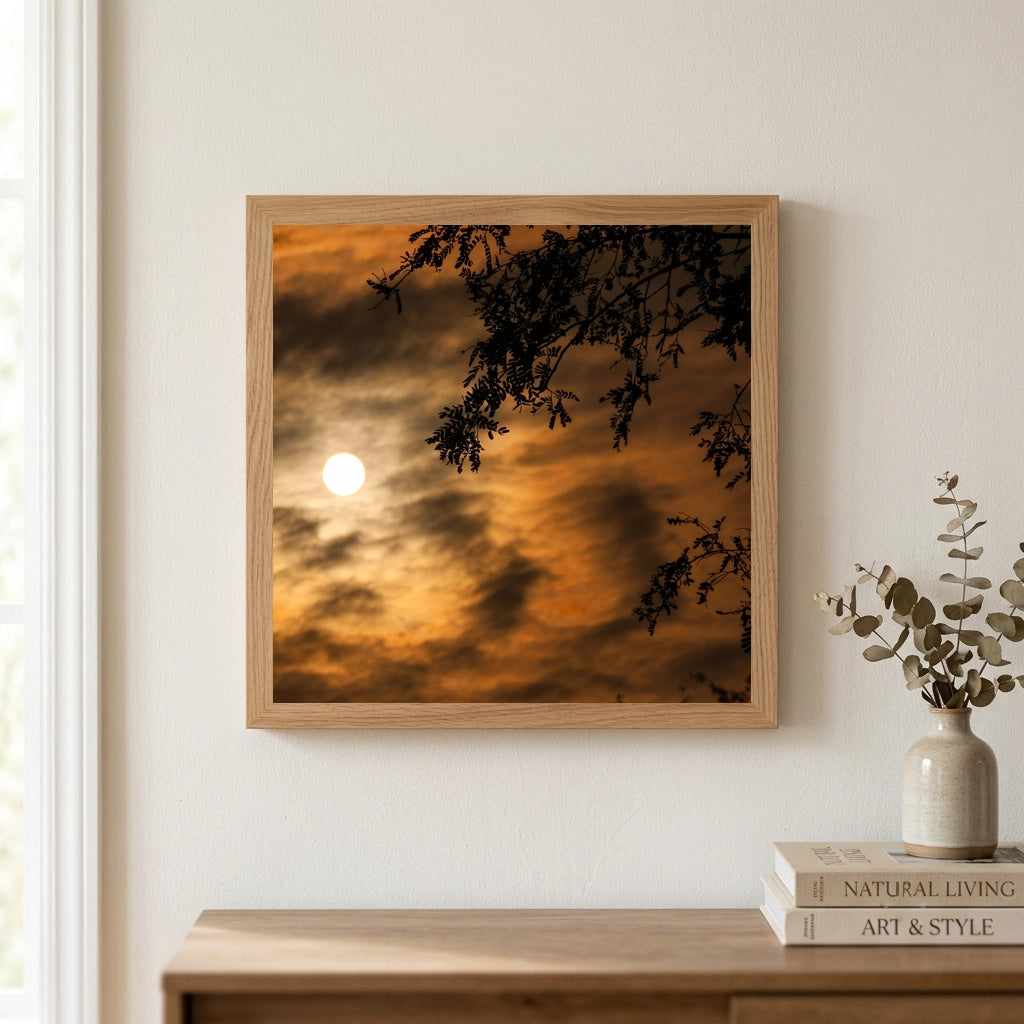 Golden Sun Through Tree Branches