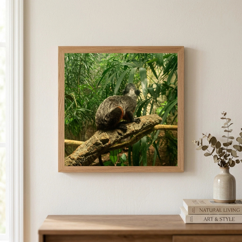 Monkey on a Jungle Branch