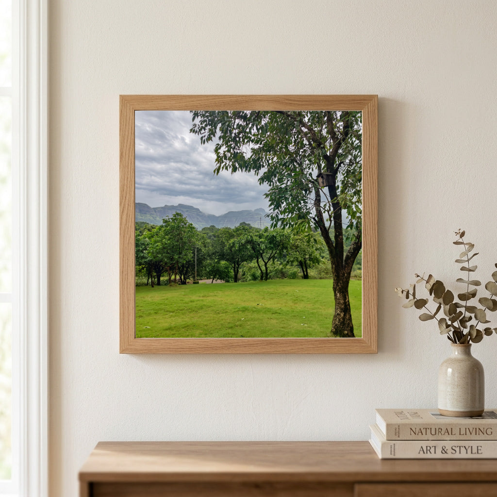 Green Valley Meadow and Monsoon Sky