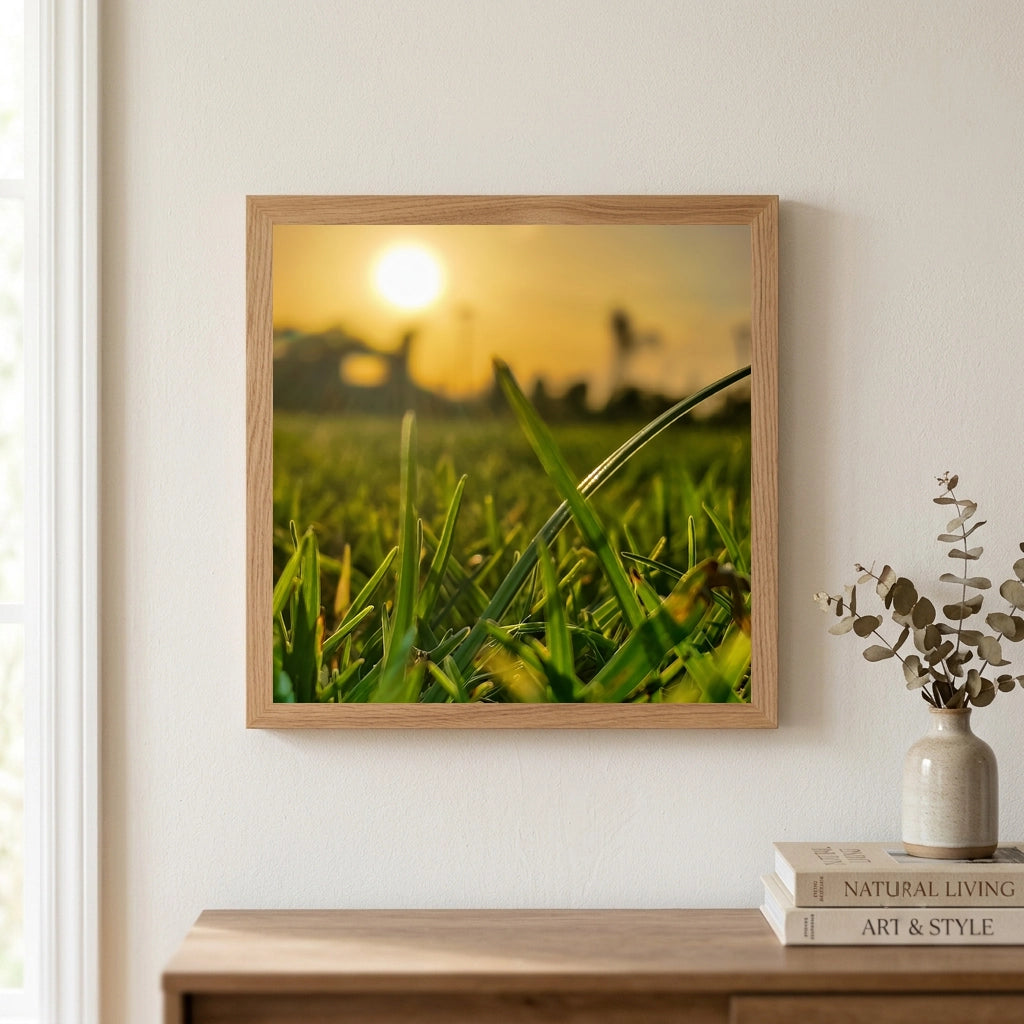 Sunset Through Green Grass