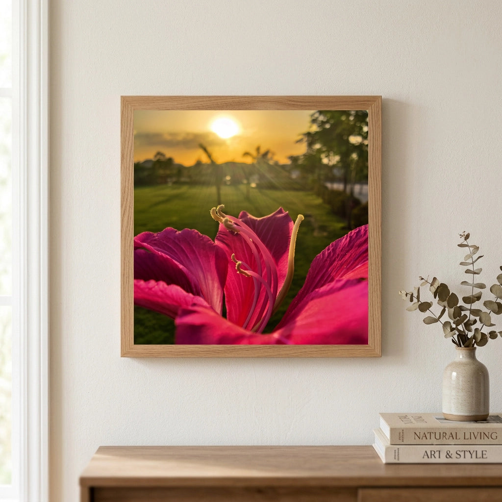 Pink Flower Against Sunset