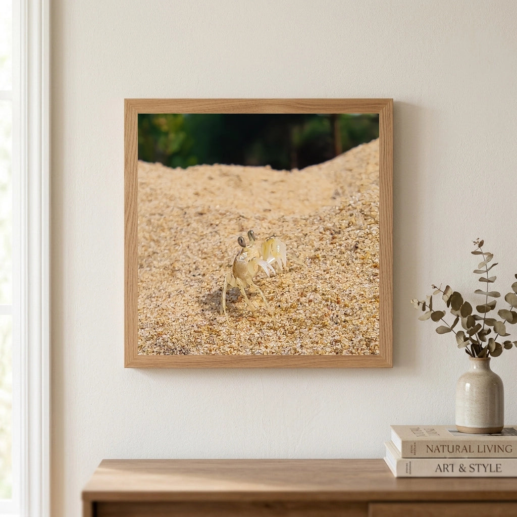 Ghost Crab on a Sand Dune