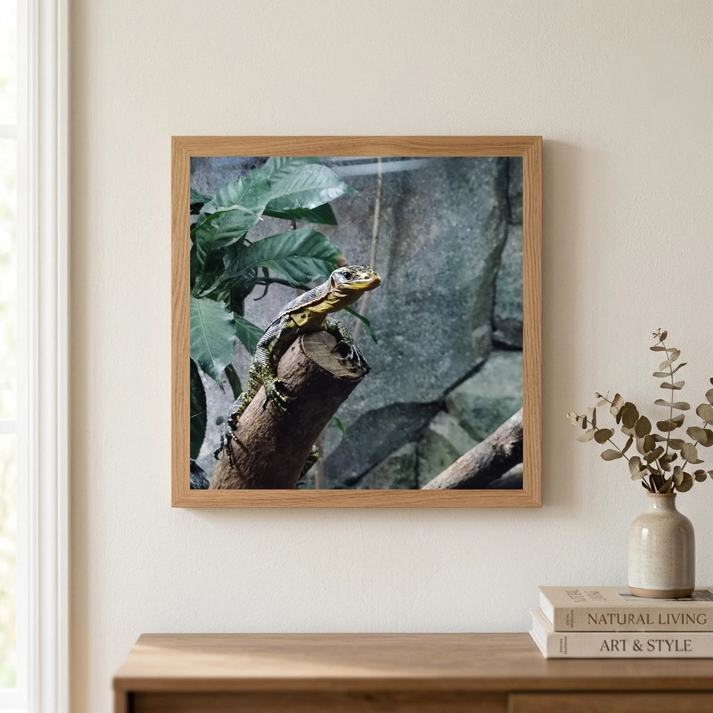 Monitor Lizard on a Branch