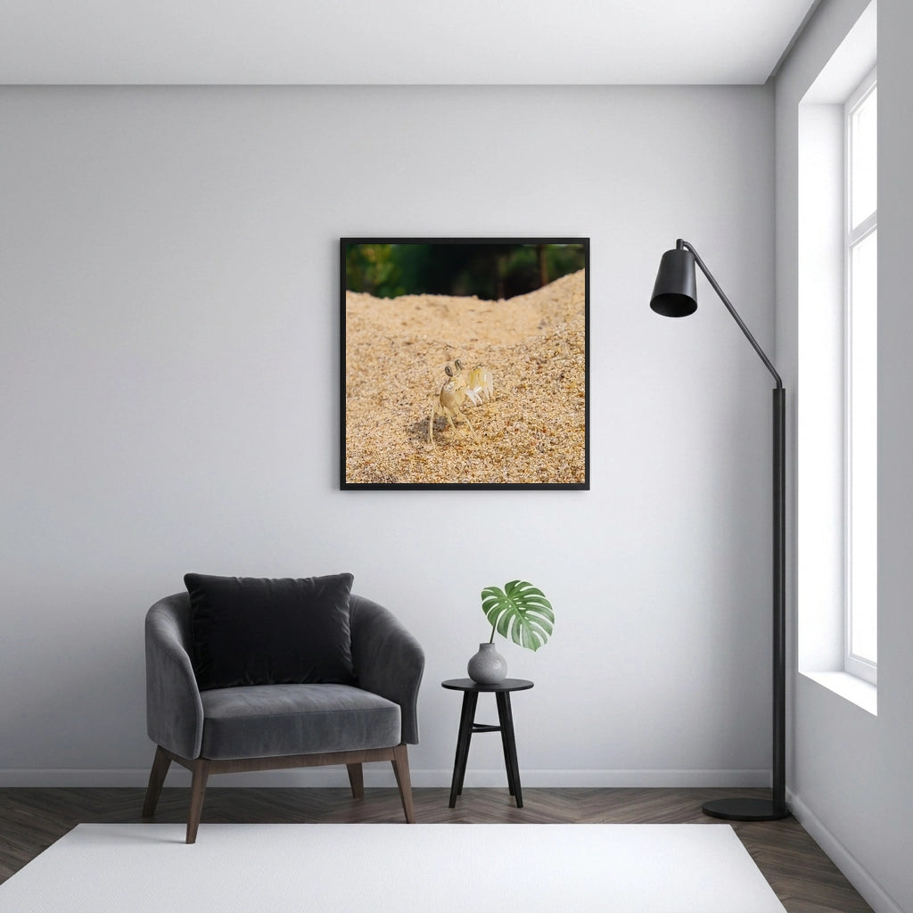 Ghost Crab on a Sand Dune