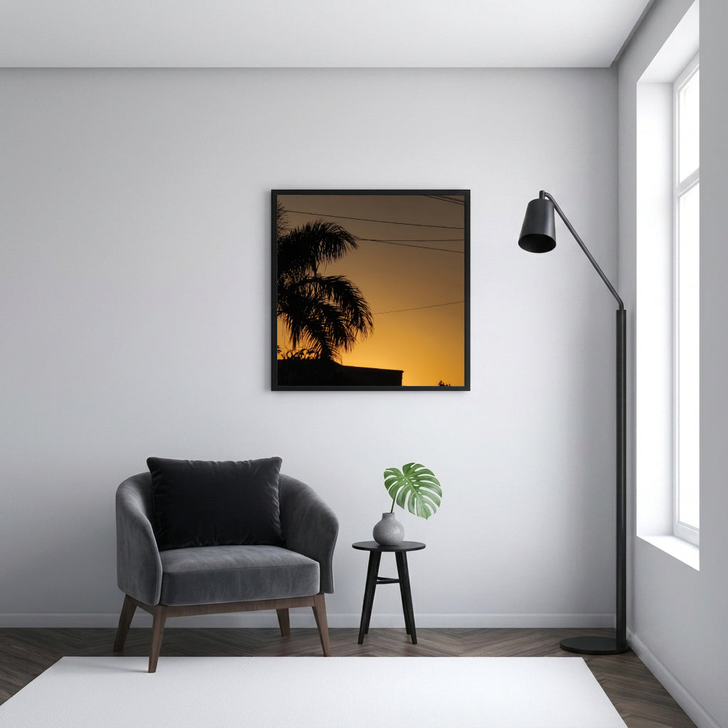 Palm Tree Sunset Silhouette