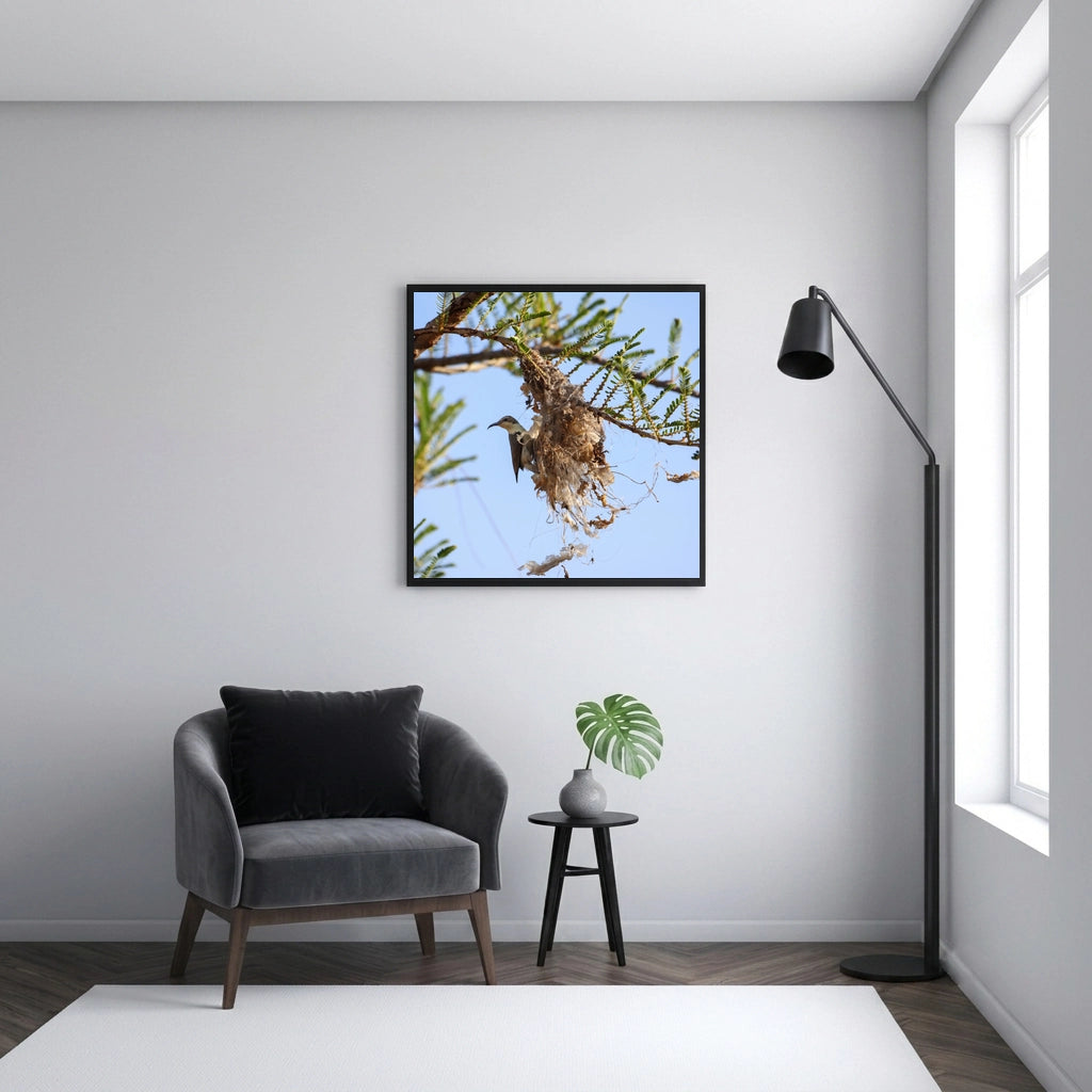 Sunbird at a Woven Nest