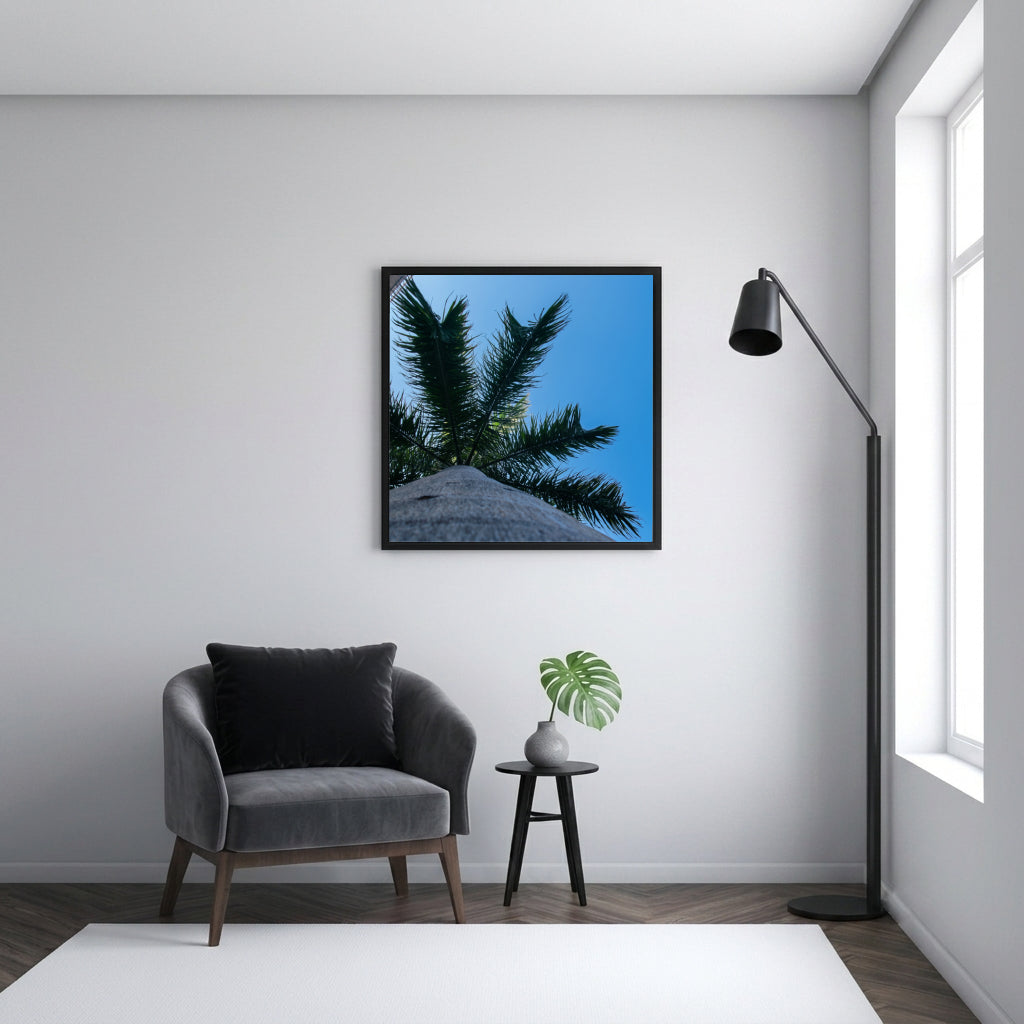 Palm Fronds Against Blue Sky