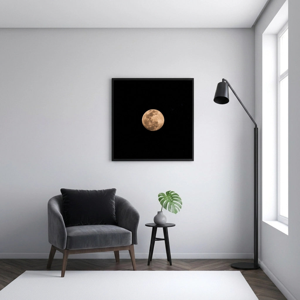Full Moon in the Night Sky