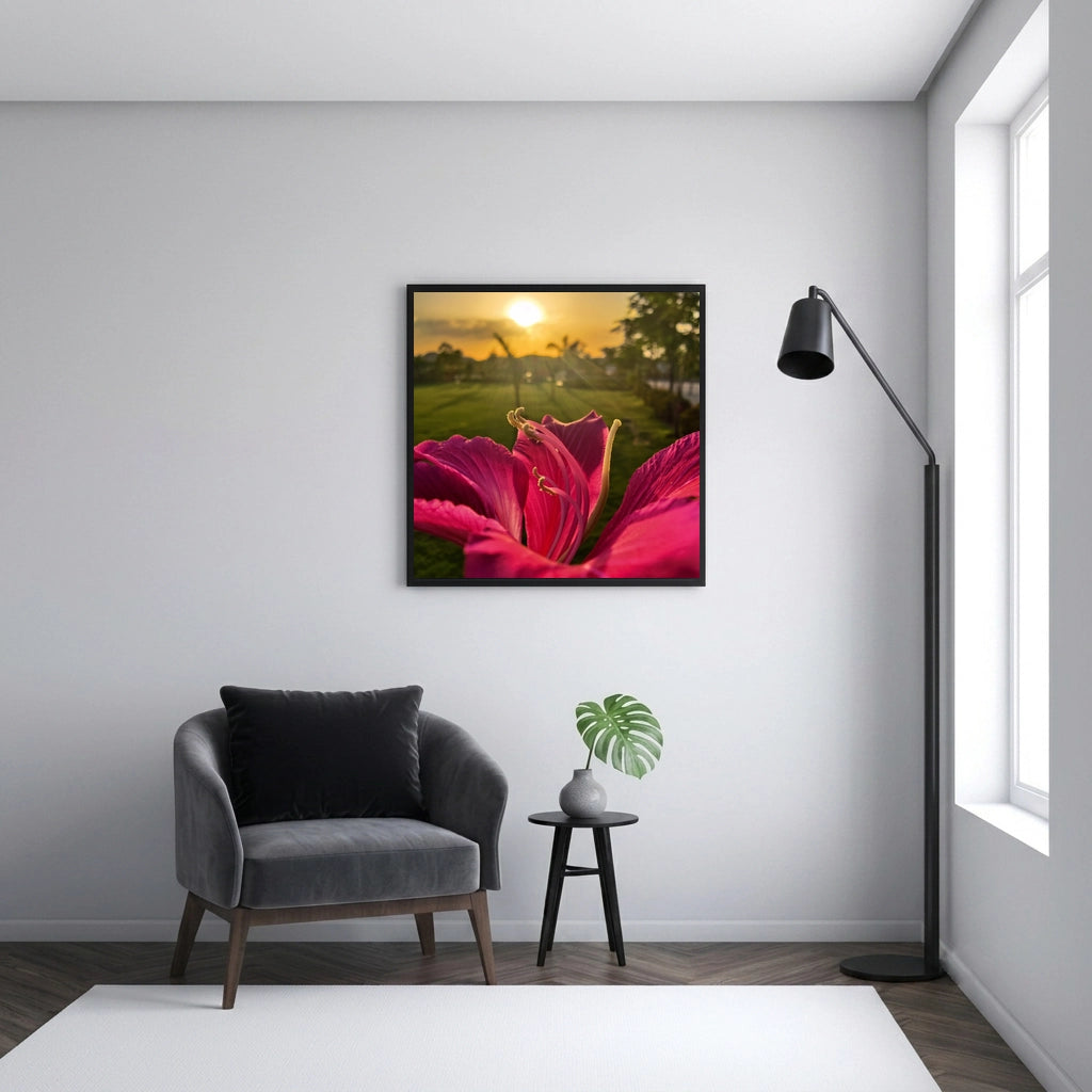 Pink Flower Against Sunset
