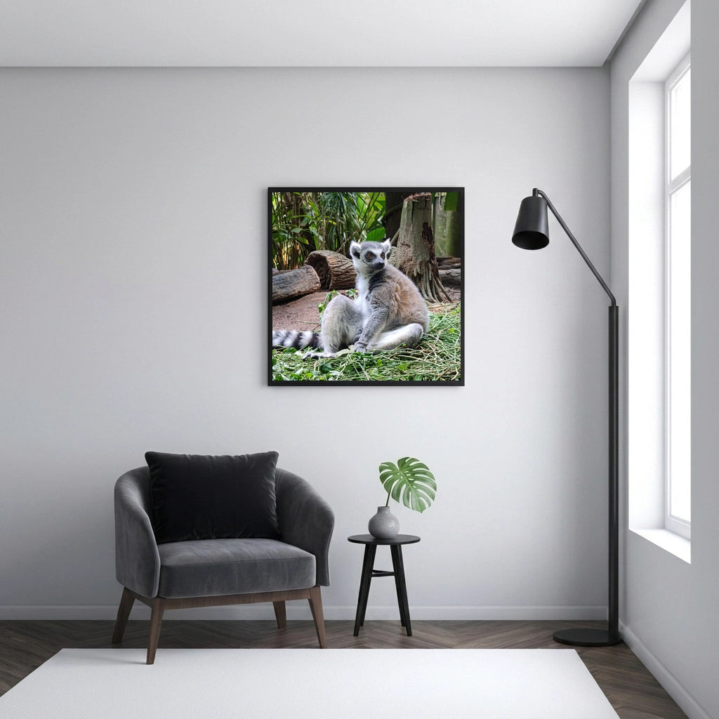 Ring Tailed Lemur Portrait