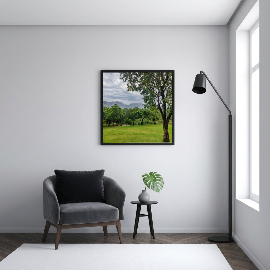 Green Valley Meadow and Monsoon Sky