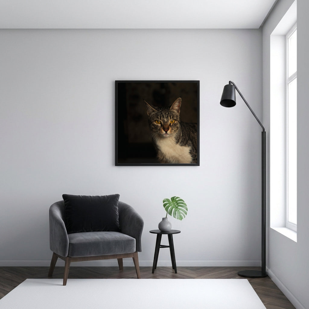 Moody Tabby Cat Portrait