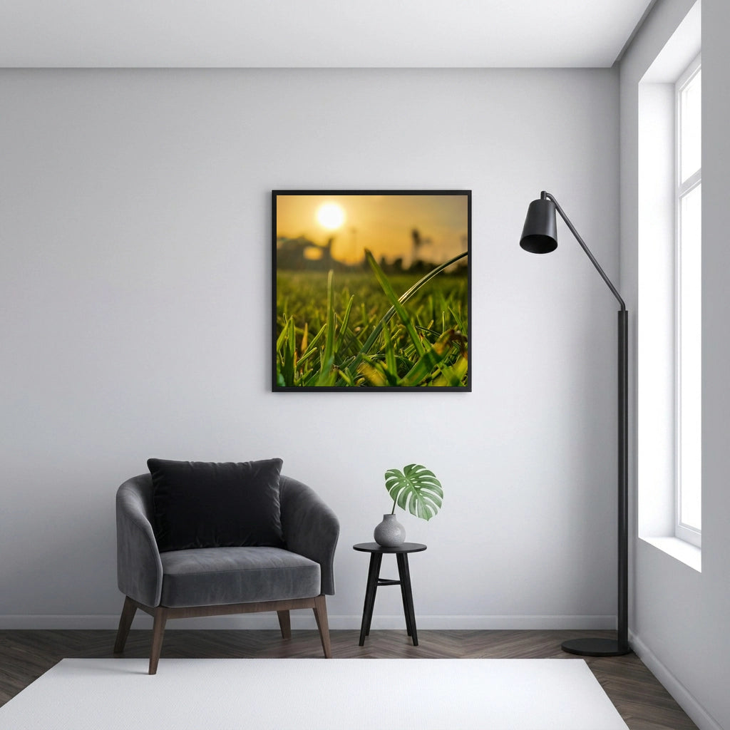 Sunset Through Green Grass