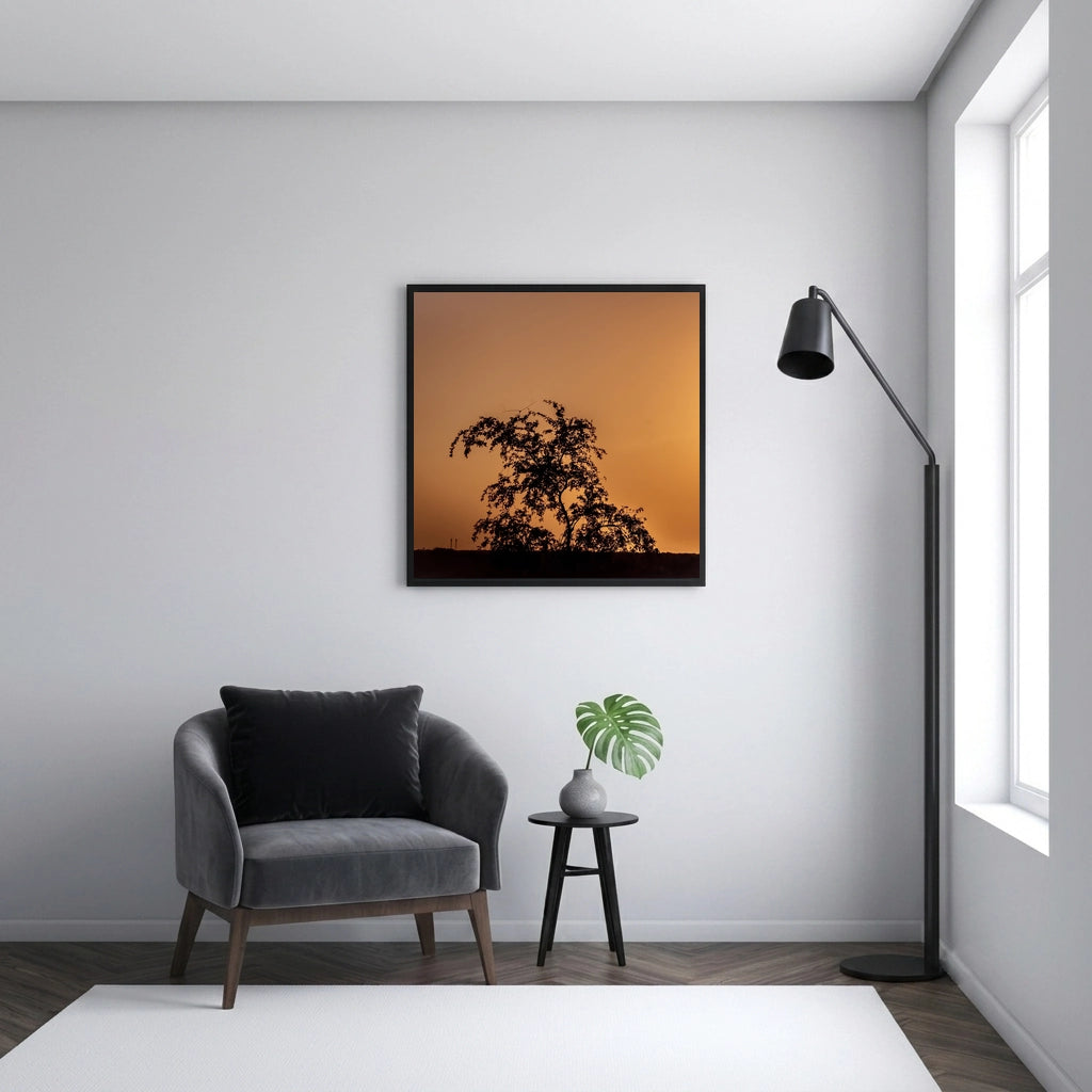 Tree Silhouette at Amber Sunset