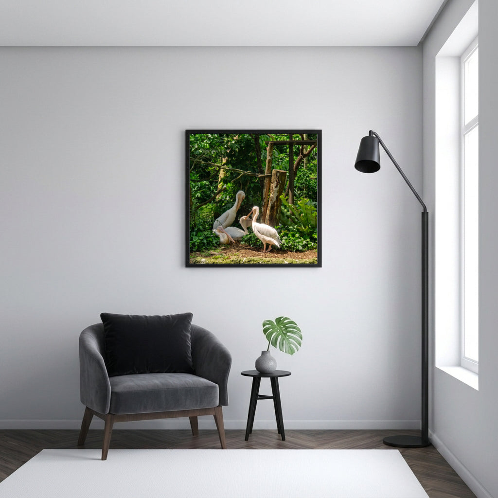 White Pelicans in Green Jungle