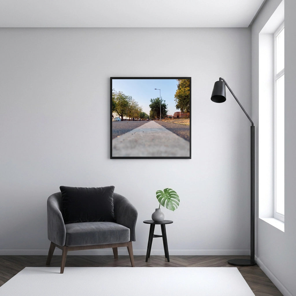Tree Lined Road