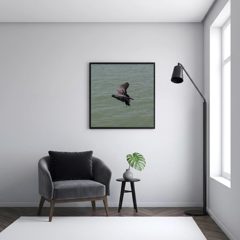 Pigeon in Flight Over Water