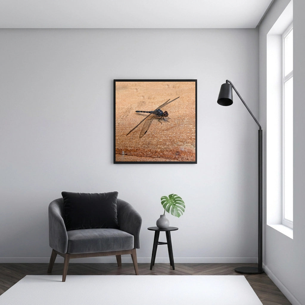 Dragonfly on Warm Stone