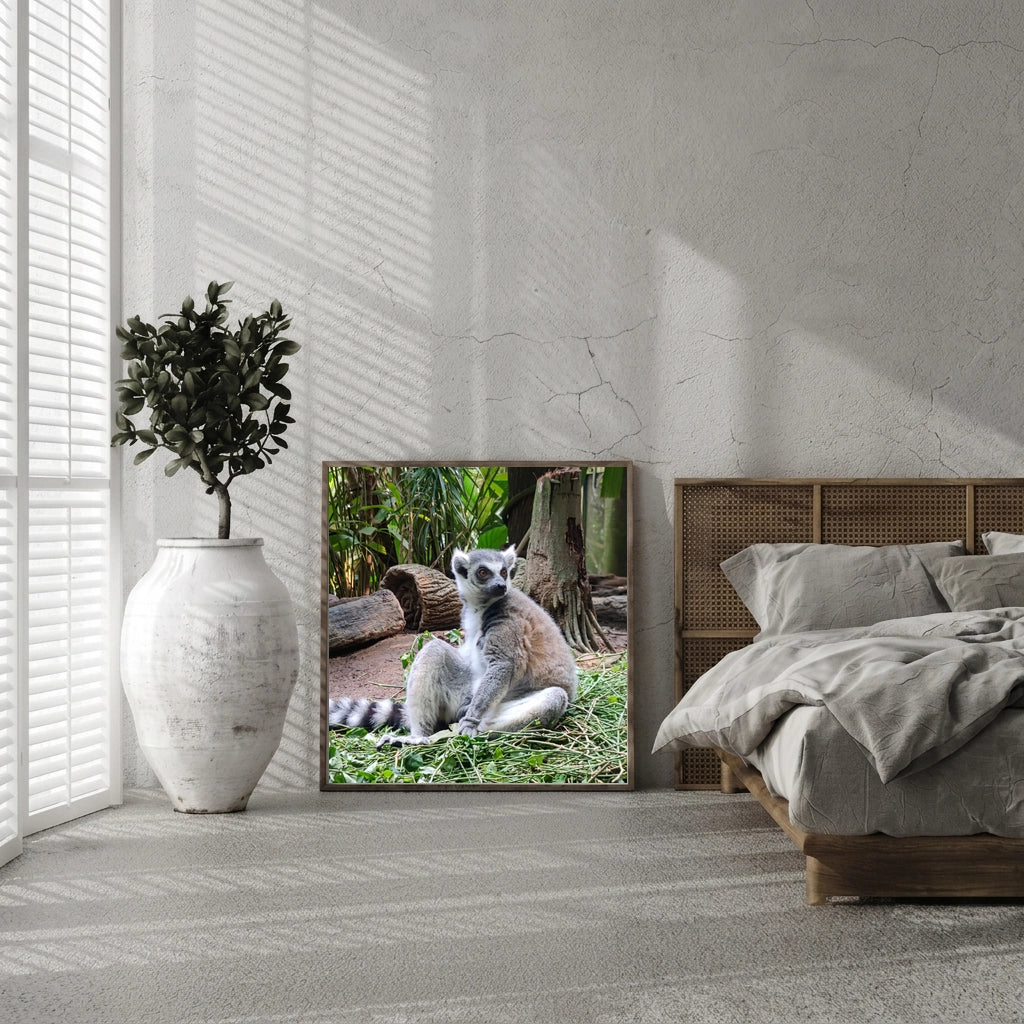 Ring Tailed Lemur Portrait