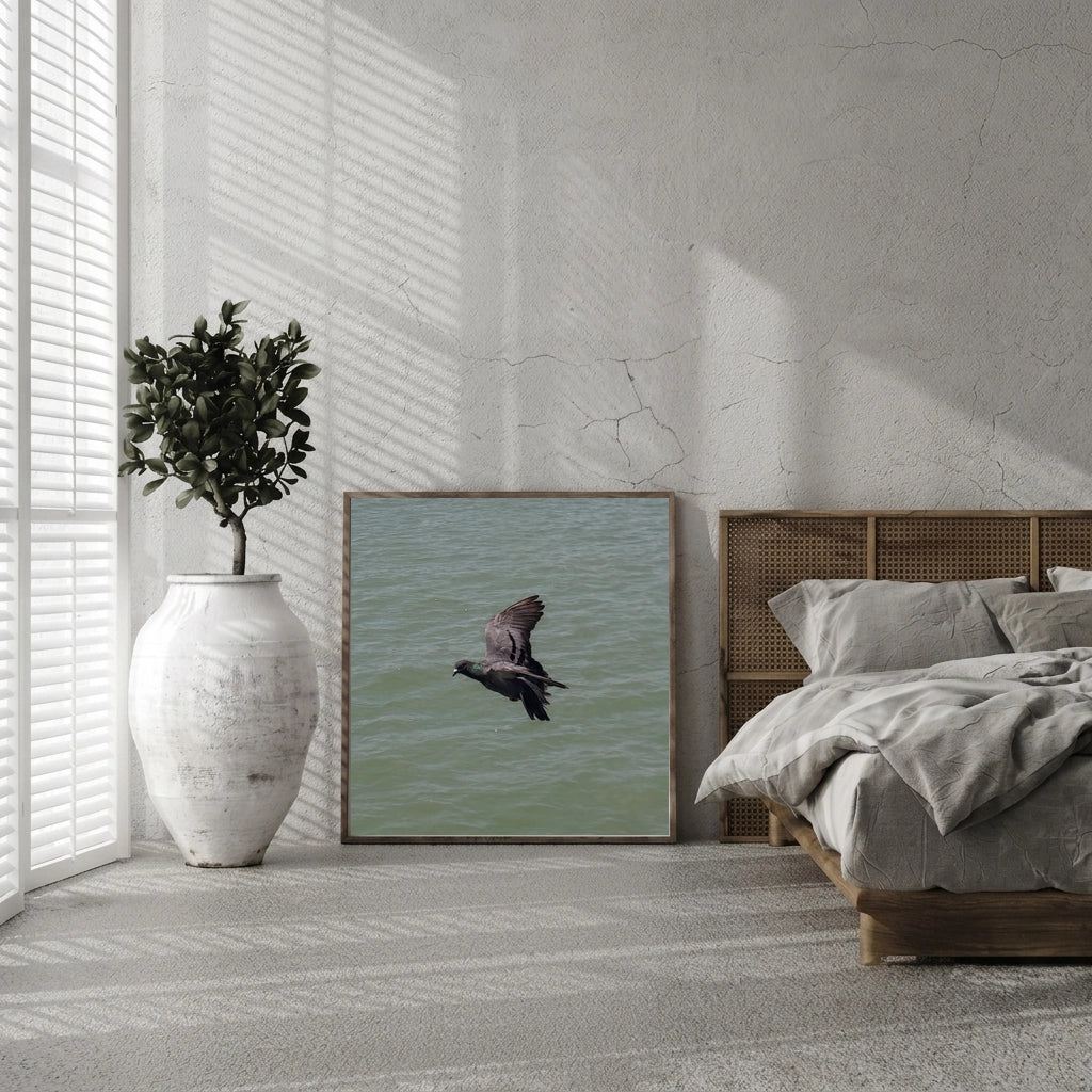 Pigeon in Flight Over Water