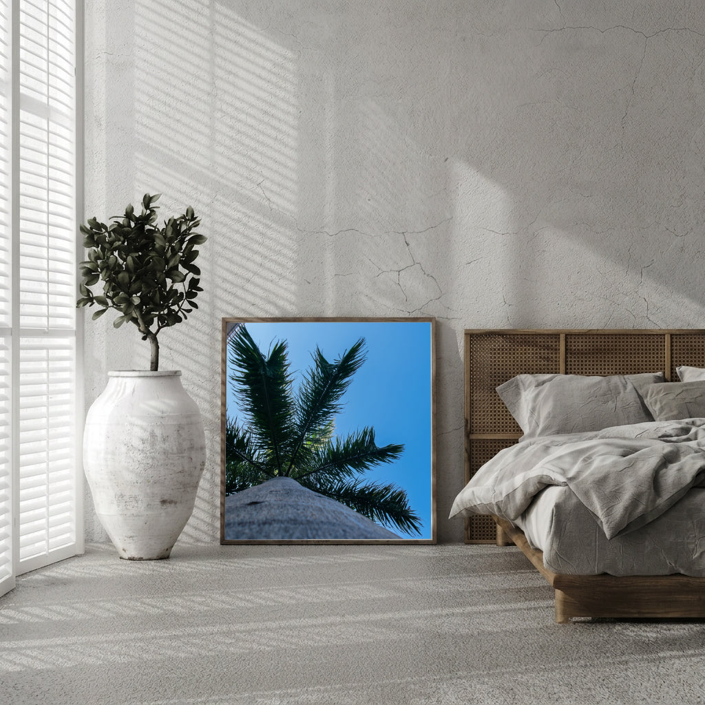 Palm Fronds Against Blue Sky