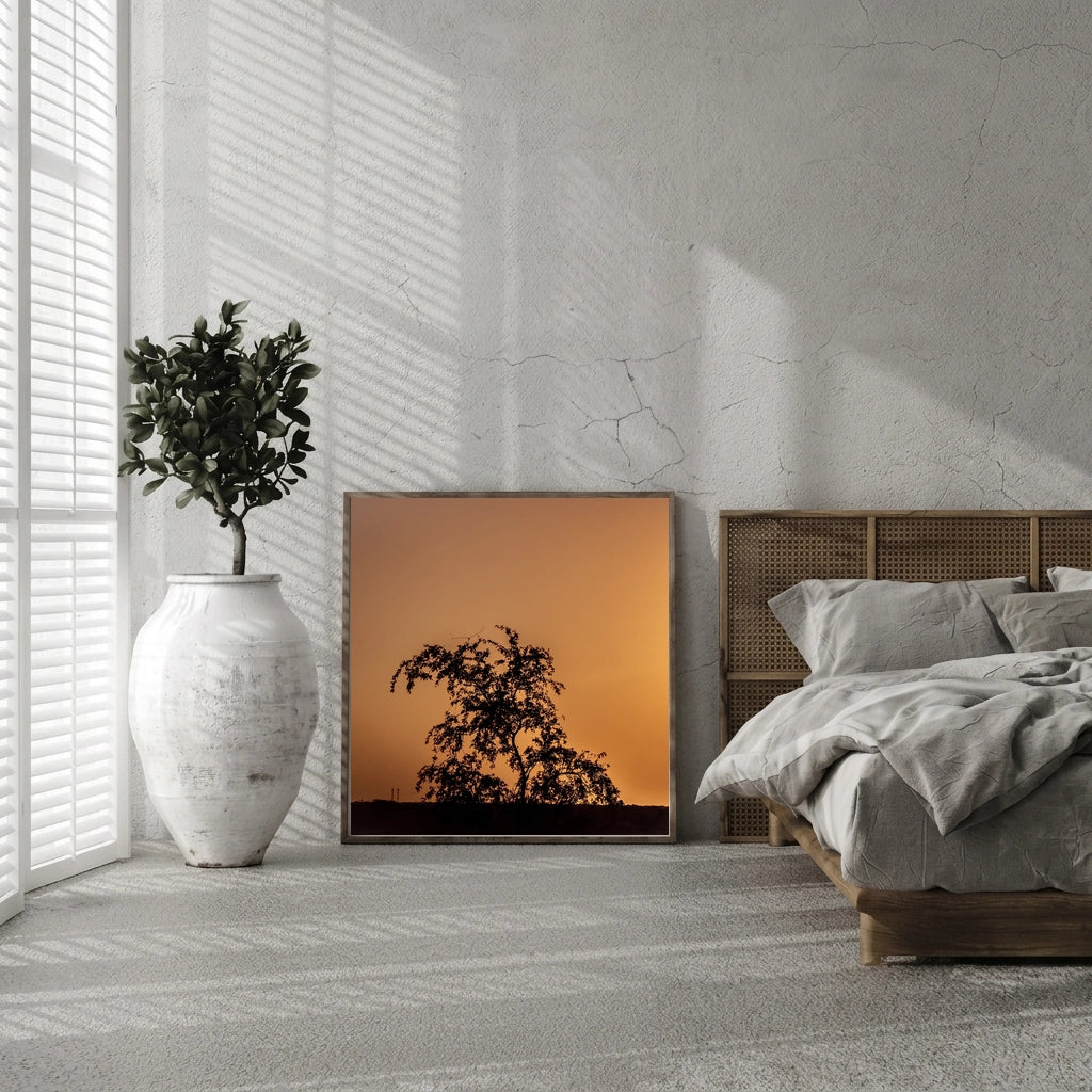 Tree Silhouette at Amber Sunset