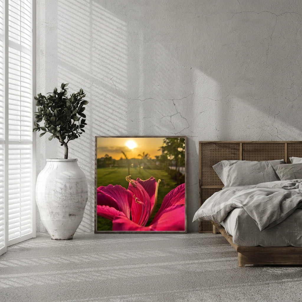 Pink Flower Against Sunset